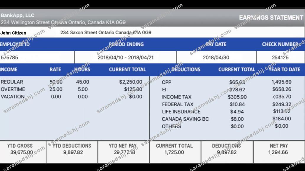 CANADA BANKAPP LLC earning statement in excel and PDF formats